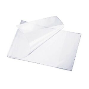 PROTEGE MUSIQUE ET CHANT