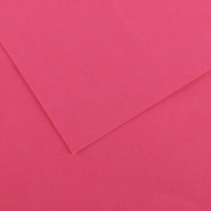 CONSON ROSE BEAUX ART 50*65