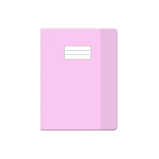 PROTEGE CAHIER PM TRANSP ROSE